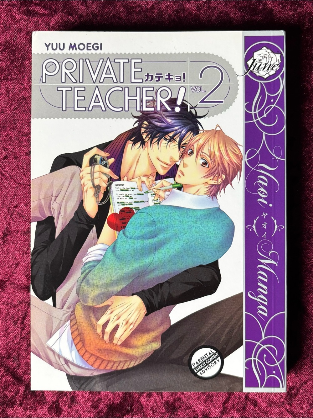Private Teacher! Vol. 2 Manga